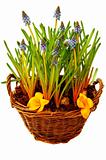 Basket with spring flowers