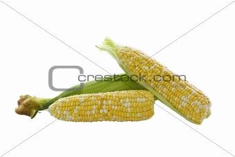 Mixed Corn- White and Yellow