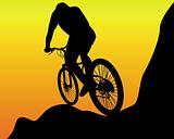 mountain biker