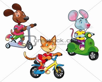 Animals on vehicles.