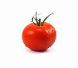 red wet tomato 