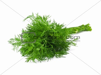 Fresh dill on white background 