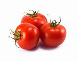 Three red fresh tomatoes isolated on white 