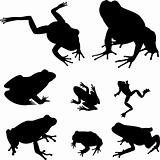 frogs silhouettes