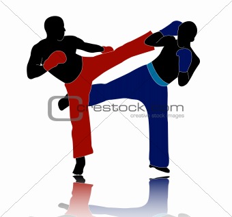 kick boxers