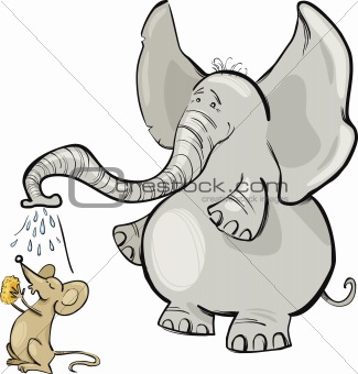mouse and elephant