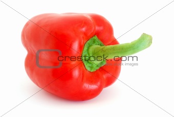 Red Bell Pepper 