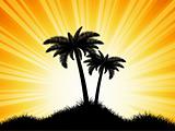 Palm tree silhouettes on sunny background