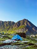 Tent in a lofoten camping site