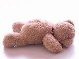 fallen teddy bear