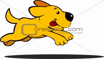 Happy jumping dog