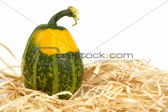 Yellow and green pumpkin