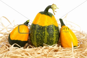 Yellow and green pumpkins