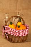 Pumpkins and sacs in the basket