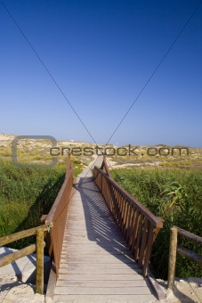 the path to the beach