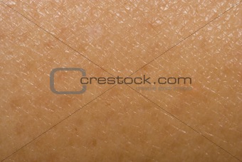 Human skin pattern