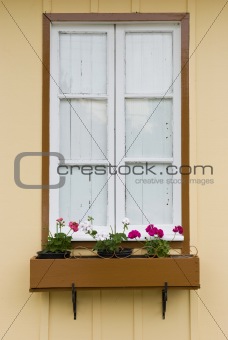 Window with flowerbed