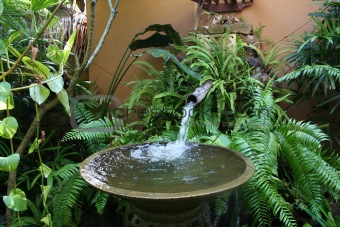 Tropical fountain