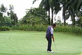Tropical golf