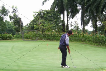Tropical golf