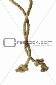 Variants of the rope with node