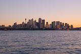 Sydney City and Harbour at Sunset