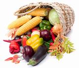 colorful vegetables in basket