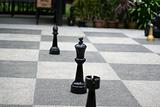 Giant chess set