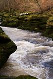 The Strid in strid wood