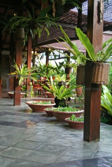 Balinese furniture