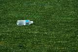 Empty water bottle on grass