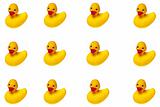 Rubber Duckies Isolated