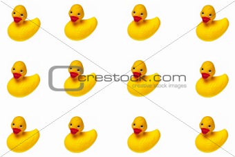 Rubber Duckies Isolated