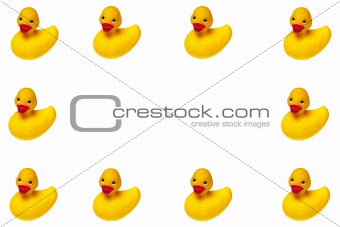 Rubber Duckies frame