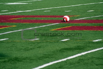 Soccer Ball on a field