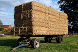 straw hay bales on a trailer