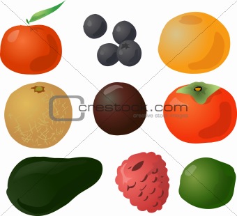 Fruits illustration