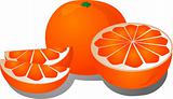 Cut orange illustration