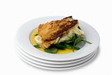 Chicken schnitzel; with clipping path