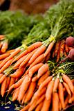 bunches of fresh carrots