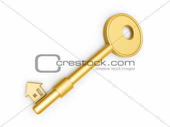gold key with house profile