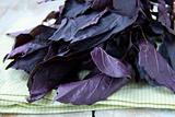 red purple basil on a wooden table