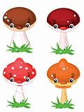 Mushrooms set