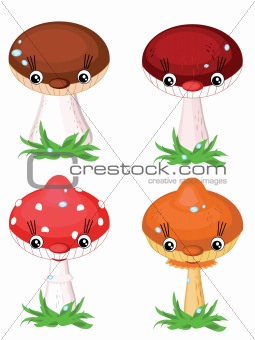 Mushrooms set