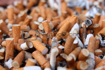 Many cigarette butts