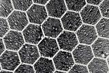 Honey Comb Water Drops Background