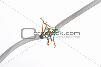 Connection electrical cable