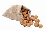 Burlap sack with walnuts 