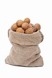 Burlap sack with walnuts 
