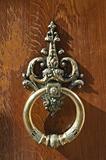 coppery wrought door knocker